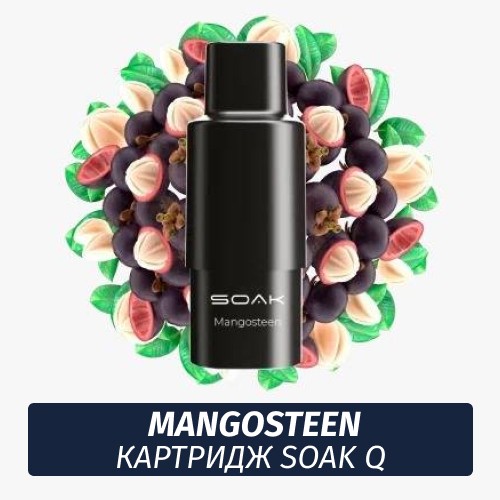 SOAK Q картридж - Mangosteen 1шт 1500 (Одноразовая электронная сигарета)