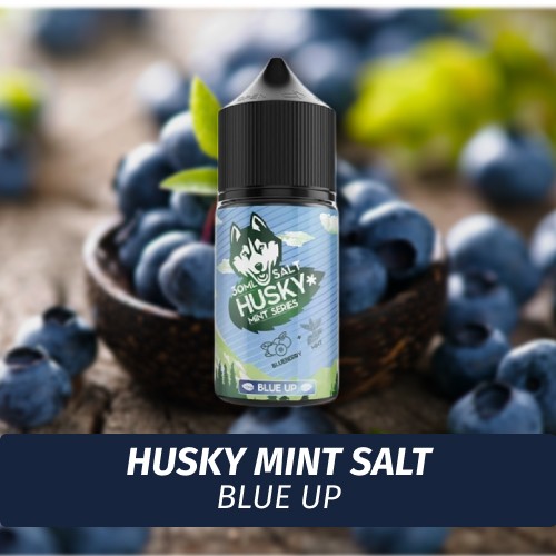 Husky Mint Salt - Blue Up 30 ml (20)