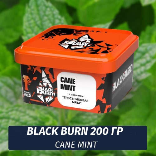 Табак Black Burn 200 гр Cane Mint (Тростниковая мята)