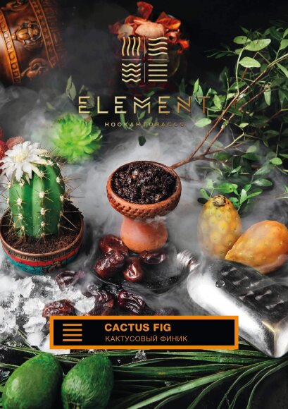 Табак Element (Земля) - Cactus Fig / Кактусовый финик (100g)