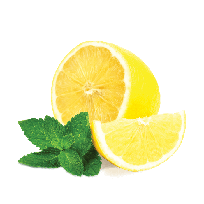 Lemon Mint. Лимон на белом фоне. Лимон, лайм. Лимон без фона.