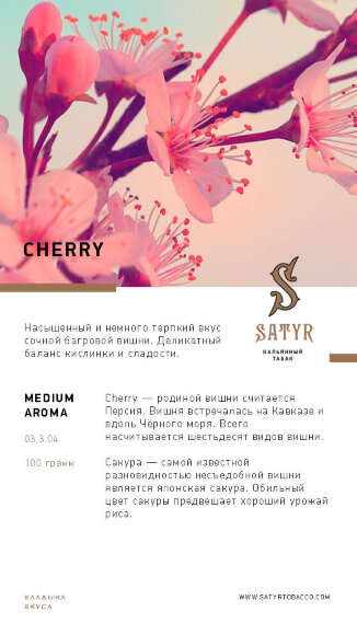 Табак Satyr 100 гр CHERRY