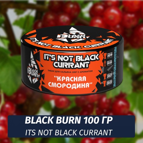 Табак Black Burn 100 гр It's Not Black Currant (Красная Смородина)