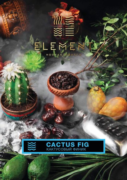 Табак Element Water Элемент вода 40 гр Cactus Fig (Кактусовый финик)