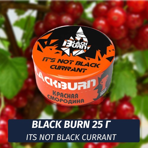 Табак Black Burn 25 гр Red Currant (It's Not Black Currant)