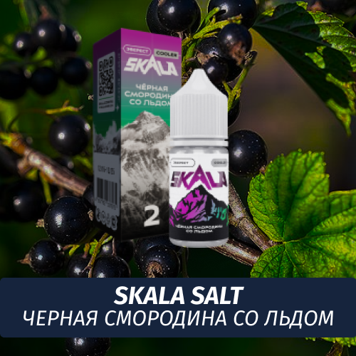 Жидкость Skala Salt, 30 мл, Эверест (Черная Смородина со Льдом), 2