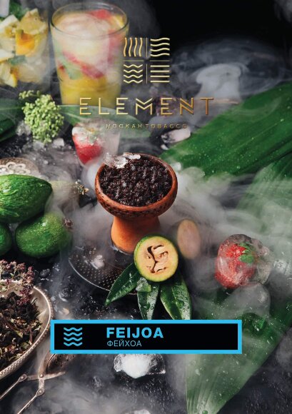 Табак Element (Вода) - Feijoa / Фейхоа (40г)