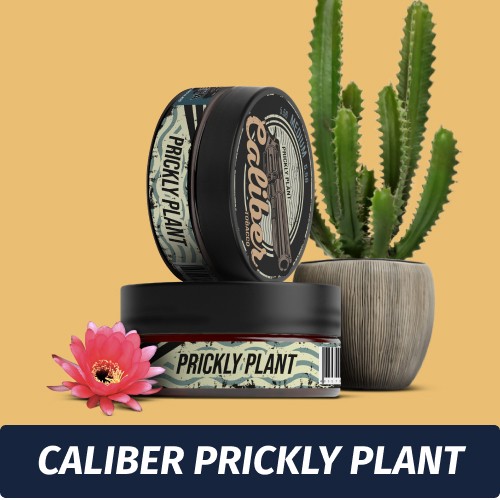 Табак Caliber Prickly Plant (Кактус) 150 гр