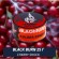 Табак Black Burn 25 гр Cherry Shock (Кислая вишня)