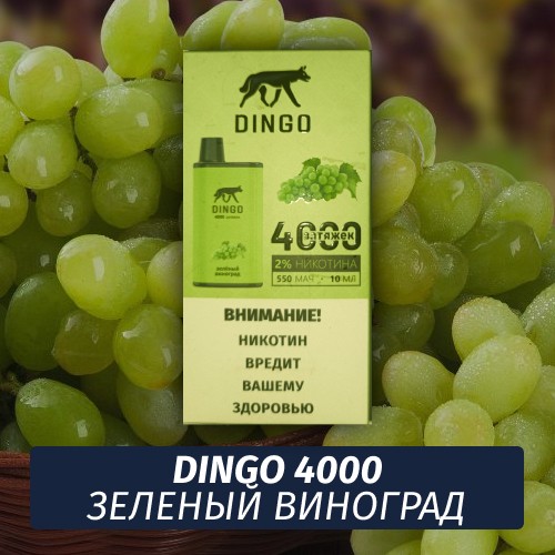 DINGO - Зеленый виноград 4000 (Одноразовая электронная сигарета)