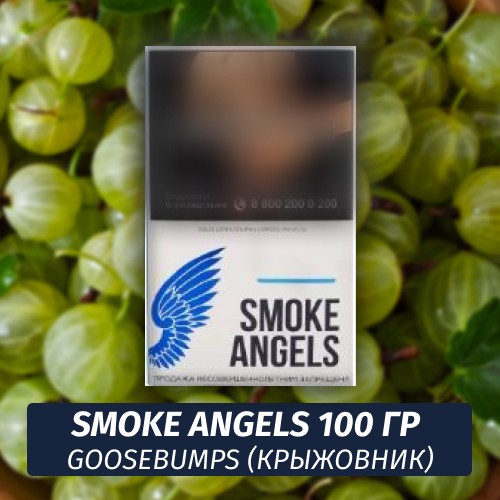 Табак Smoke Angels 100 гр Goosebumps