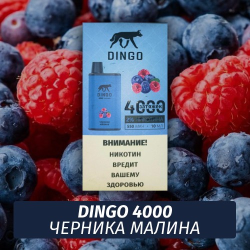 DINGO - Черника малина 4000 (Одноразовая электронная сигарета)