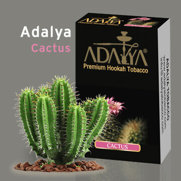 Табак Adalya - Cactus / Кактус (50г)