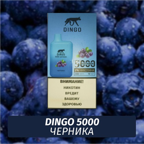 DINGO - Черника 5000 (Одноразовая электронная сигарета)